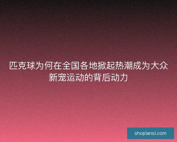 匹克球为何在全国各地掀起热潮成为大众新宠运动的背后动力
